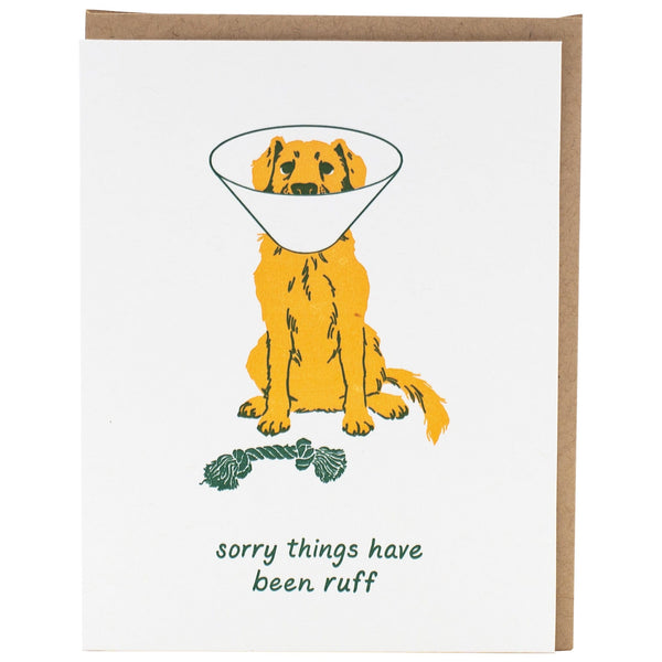 Dog With Cone Support / Get Well Card