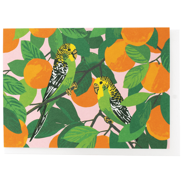 Parakeets In Orange Tree Note Card