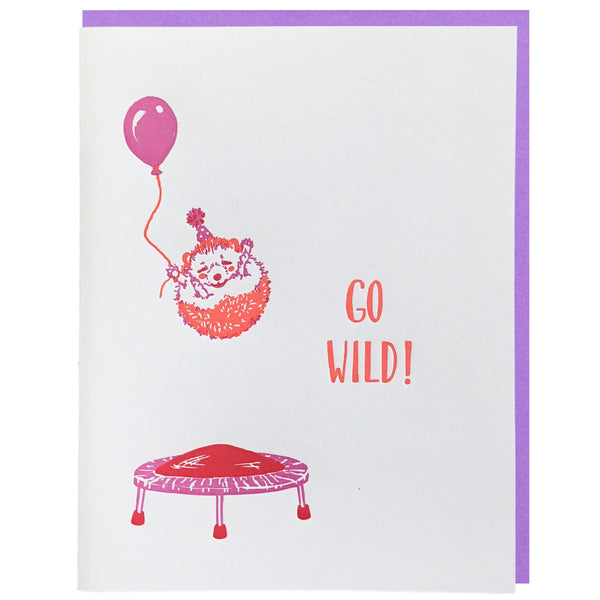 Hedgehog on Trampoline Birthday Card