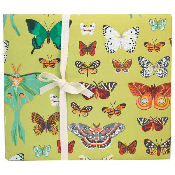 Butterflies Gift Wrap