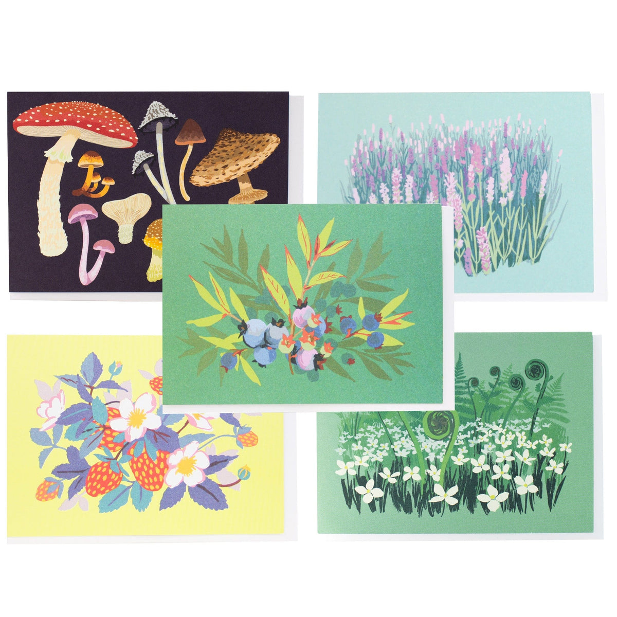 Foraging Note Card Set | Smudge Ink