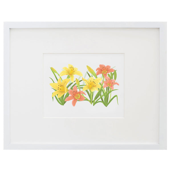 Garden Walk Common Daylilies Art Print