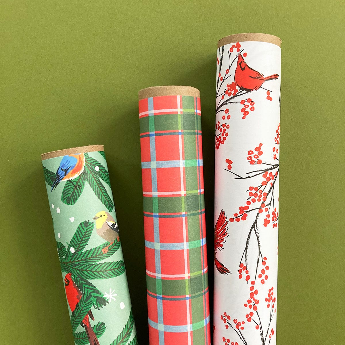 Jumbo Roll Wrapping Paper - Glittered Winter Branches — Bird in Hand