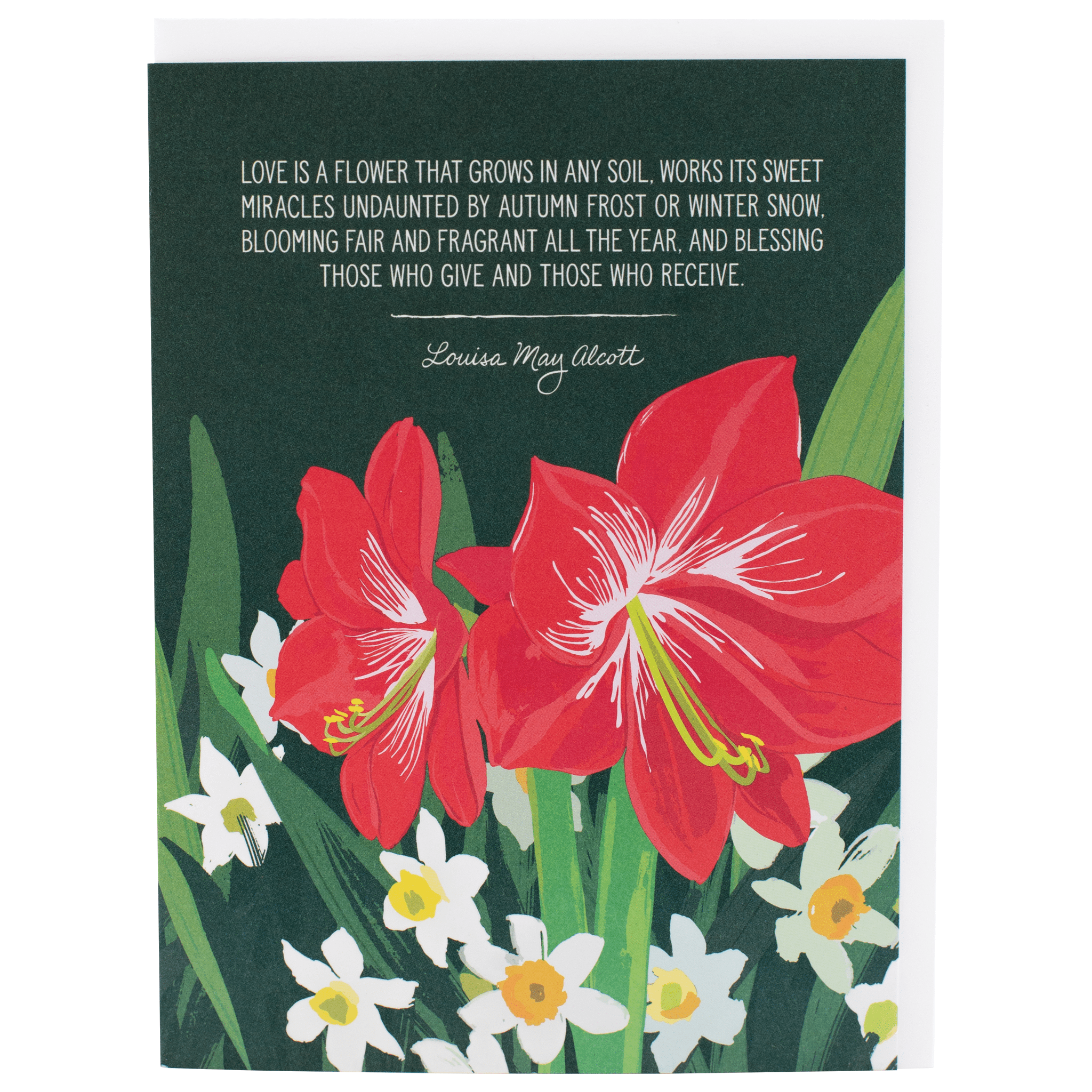 lily flower love quote Growing Love Quote Holiday Card | Greeting Cards