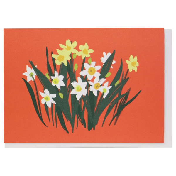 Paperwhites Note Card
