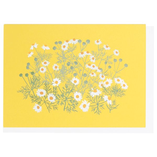 Chamomile Note Card