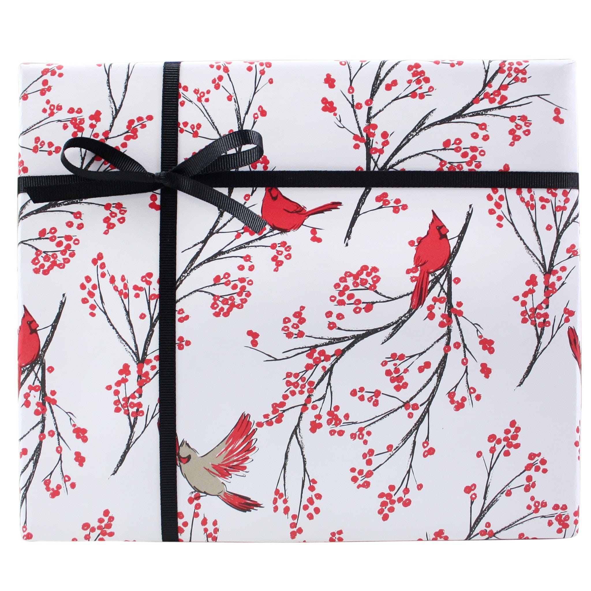 Wrapping Paper: Black Floral Vine gift Wrap, Birthday, Holiday, Christmas 