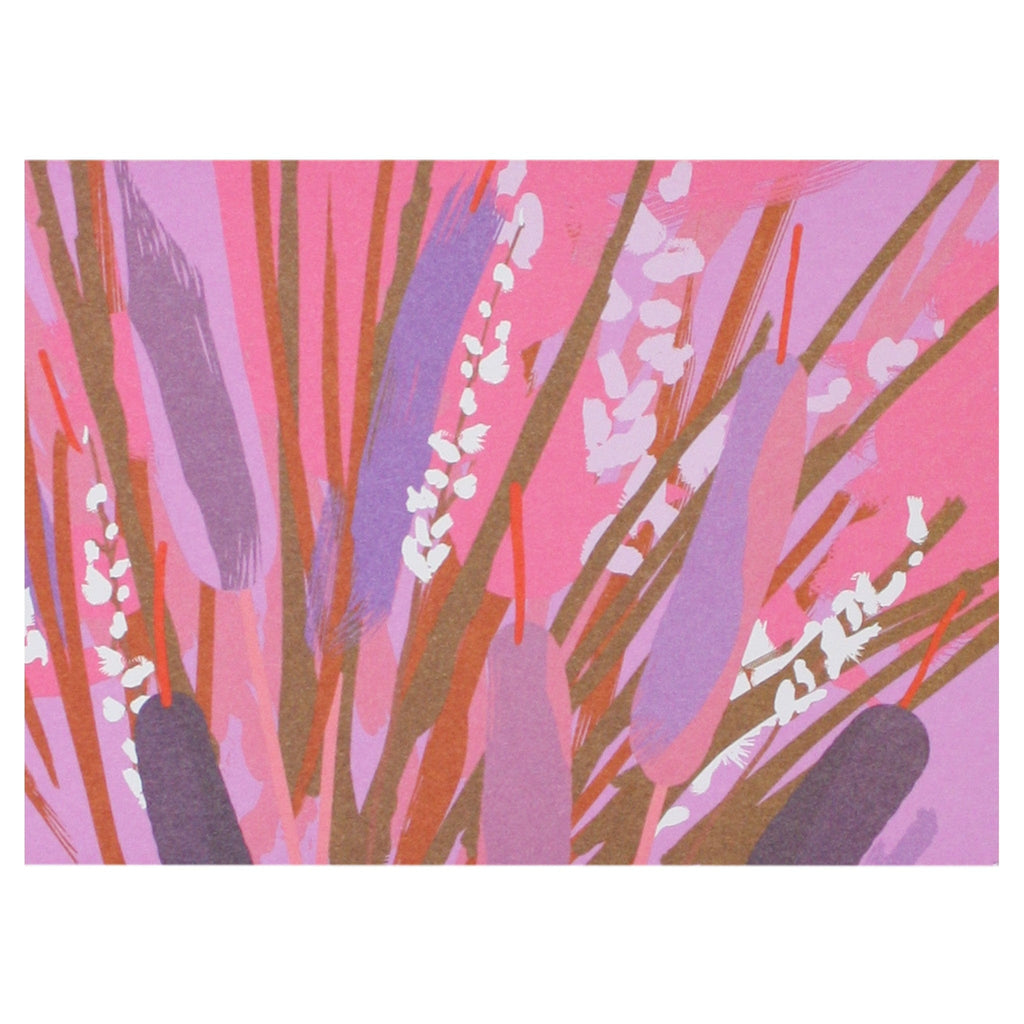 Cattails Boxed Note Cards