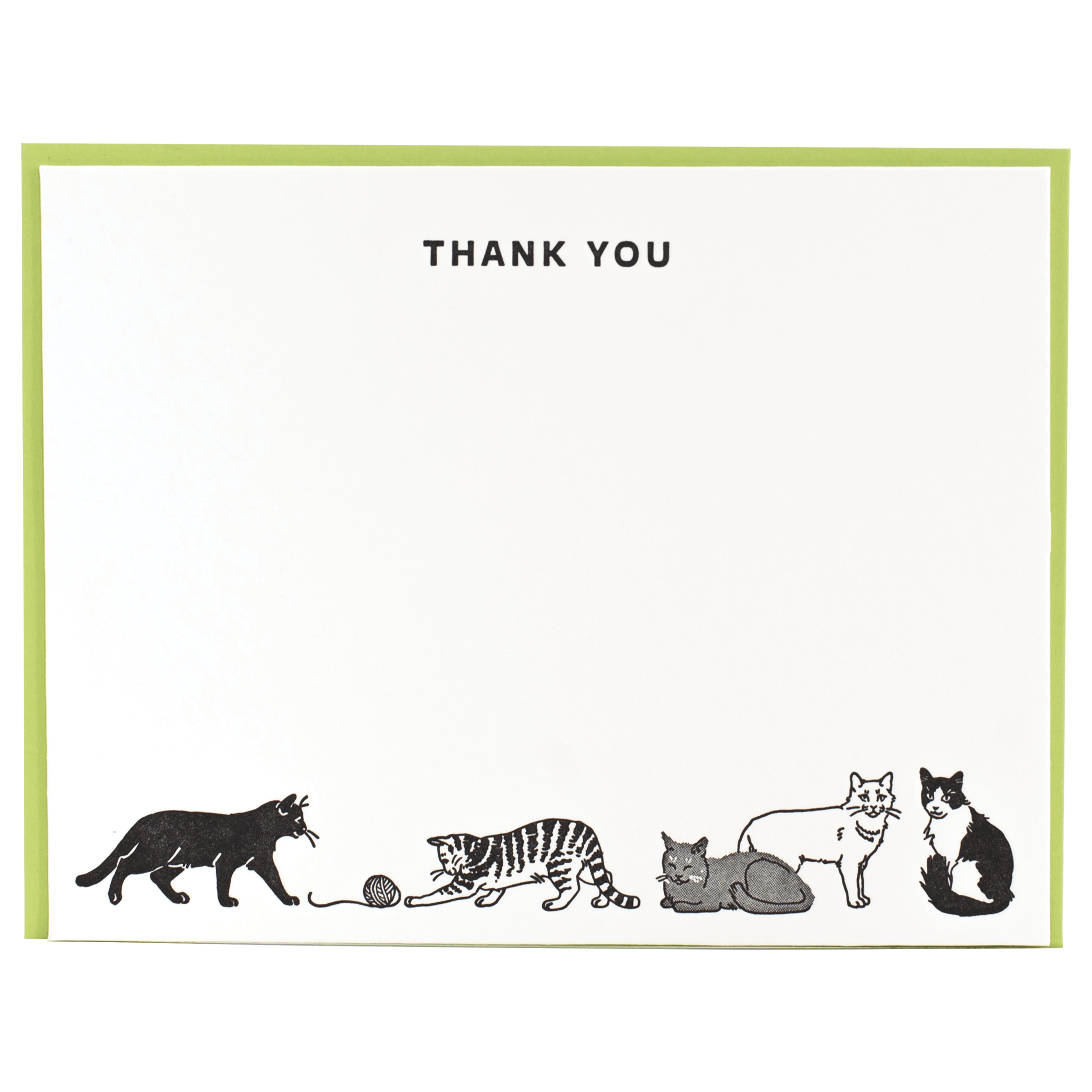 Cats Kittens Tree-Free Greetings Blank 4x6 Note Cards - Envelopes &  DIsplay Tin