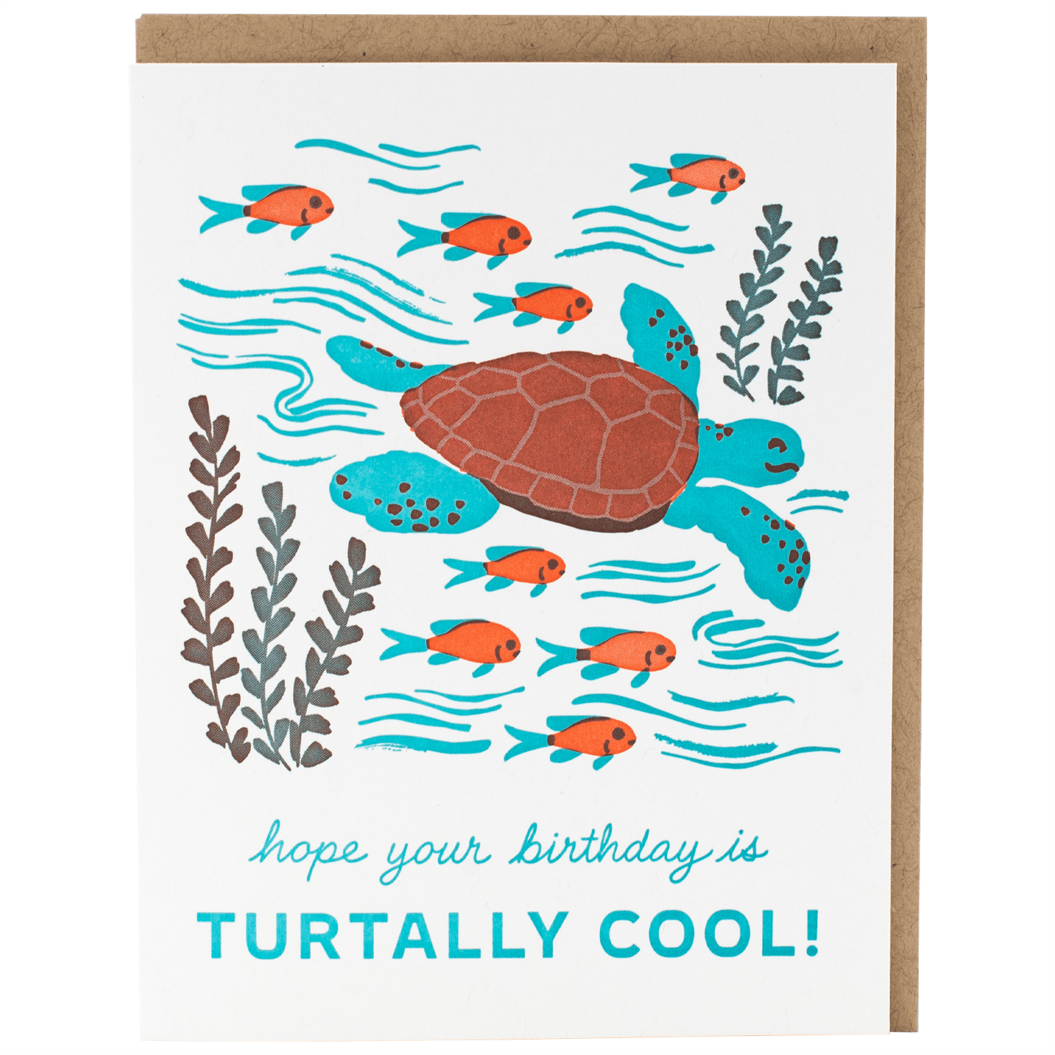Sea Turtle Birthday Card | Letterpress Cards | Smudge Ink
